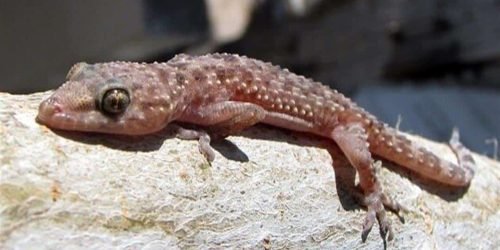 2019_8_25_16_59_15_686